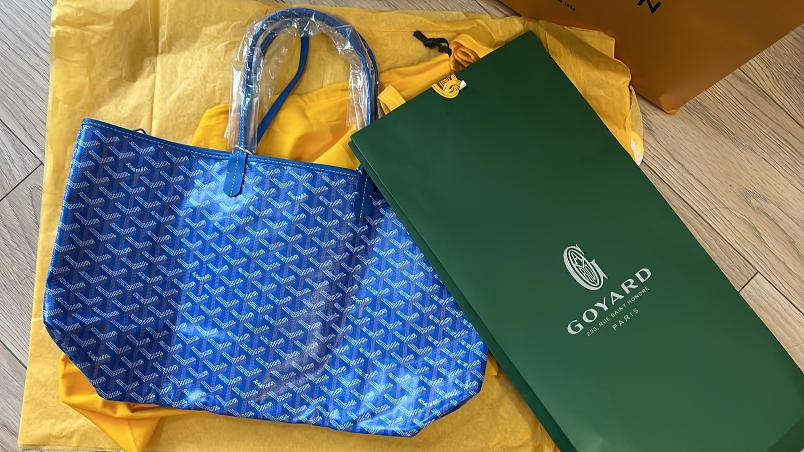 Goyard St Louis PM Tote Bag (Blue)